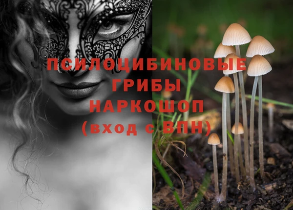 мескалин Пестово