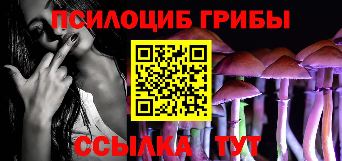 Псилоцибиновые грибы Psilocybe  Вход с VPN  Тутаев 